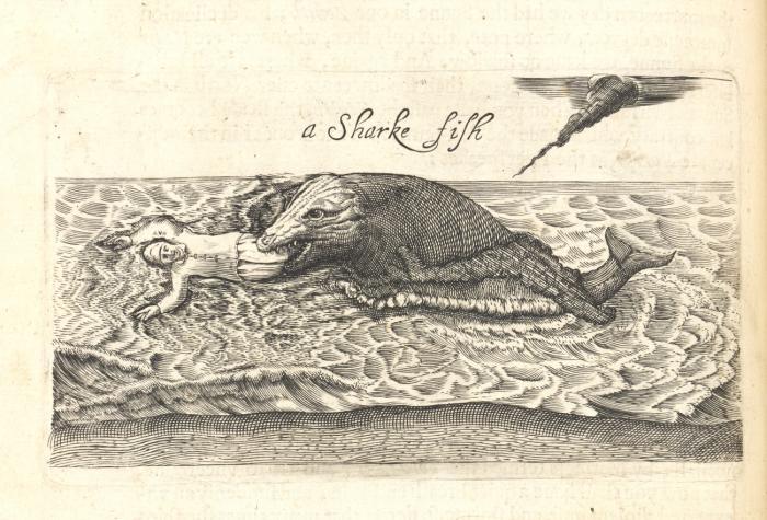 A relation of some yeares travaile, begunne anno 1626. Into Afrique and the greater Asia, especially the territories of the Persian monarchie: and some parts of the orientall Indies, and Iles adiacent. Of their religion, language, habit, discent, ceremonies, and other matters concerning them. Together with the proceedings and death of the three late ambassadours: Sir D. C. Sir R. S. and the Persian Nogdi-Beg. As also the two great monarchs, the king of Persia and the great Mogol.