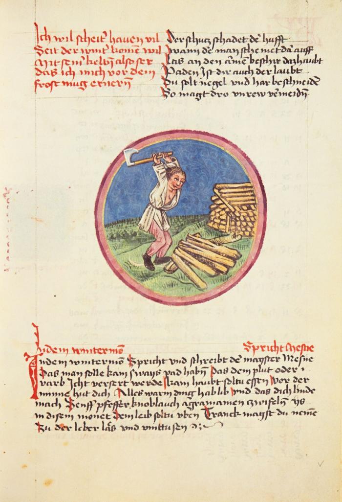 Vom Einfluss der Gestirne auf die Gesundheit und den Charakter des Menschen. Faksimile des medizinisch-astrologischen Manuscriptes C 54 der Zentralbibliothek Zürich und Kommentarband in 2 Bänden.