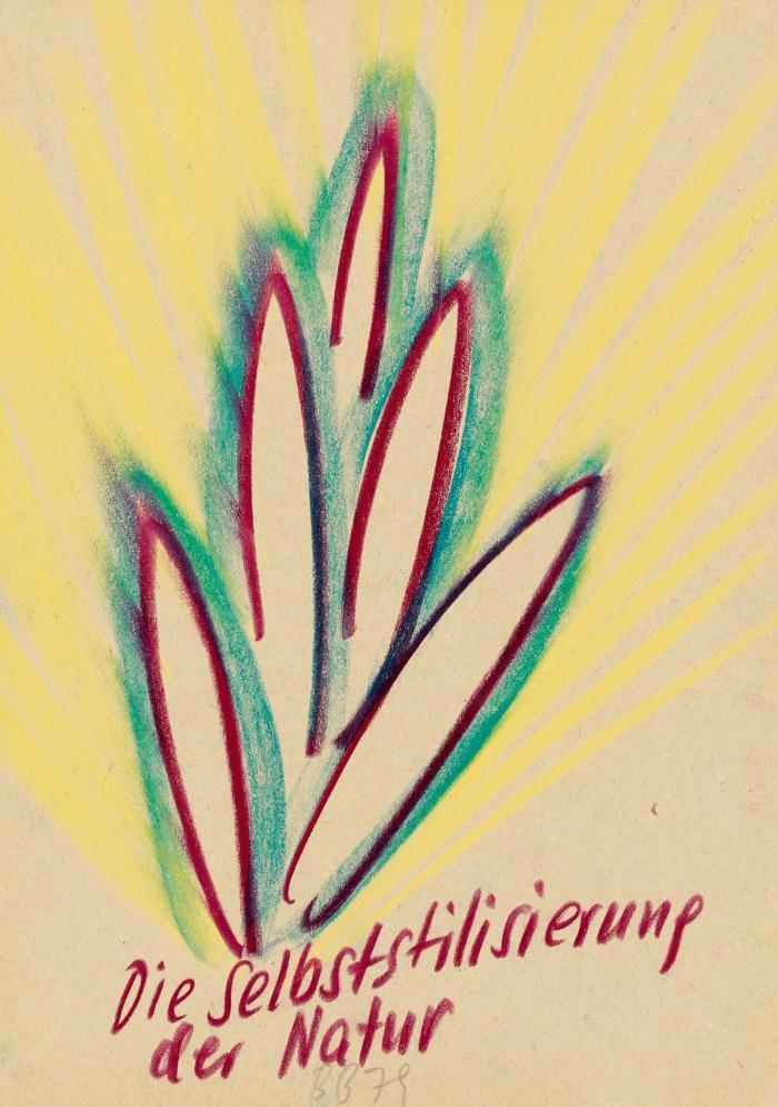 ZURÜCK ZUR NATUR  1979
