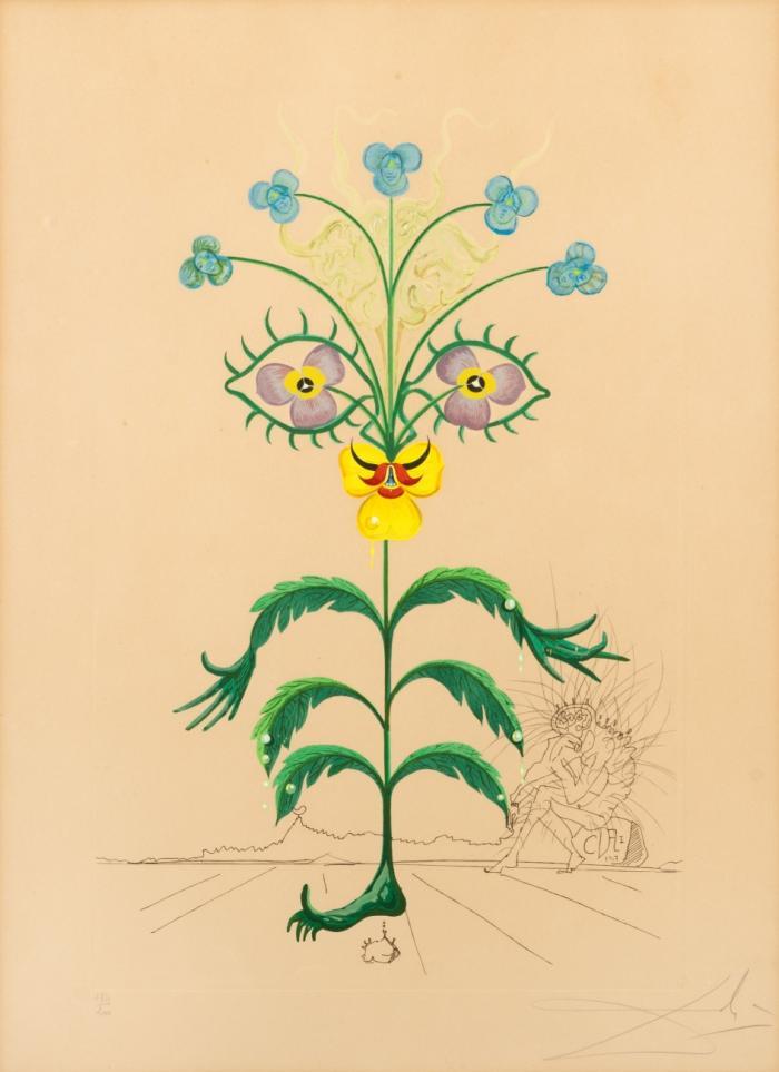 PENSÉE - VIOLA COGITANS (AUS: FLORA DALINAE)
