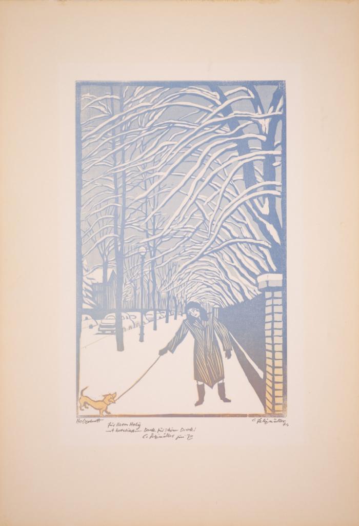 BERLIN-ZEHLENDORF, VORORTSTRASSEN IM WINTER
