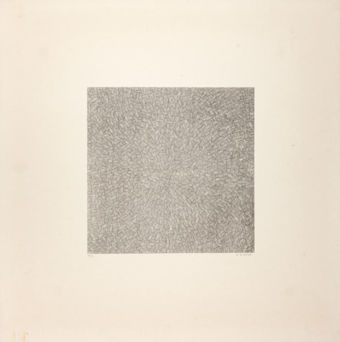OHNE TITEL (MICROGRAPHY)