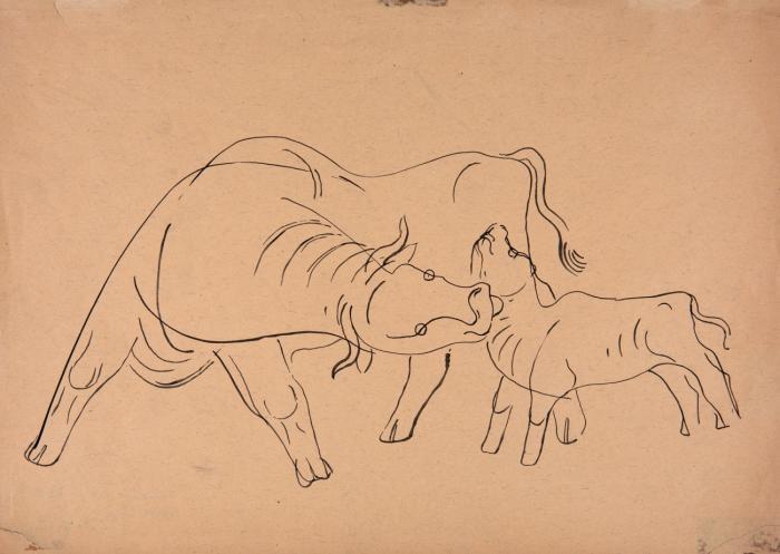 KUH UND KALB