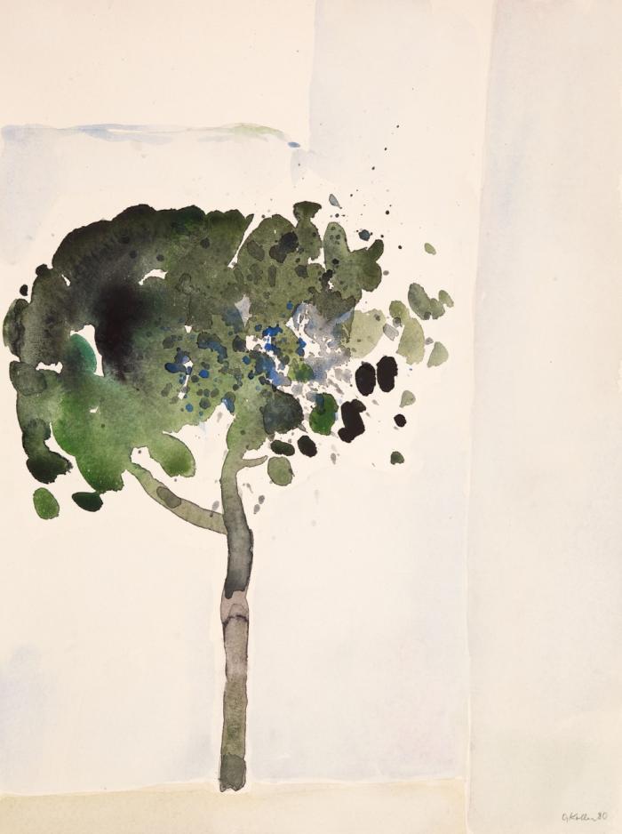 BAUM
