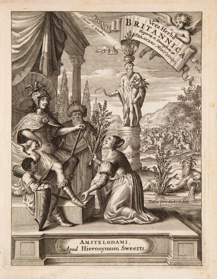 De vera antiquorum Herba Britannica, eiusdemque efficacia contra Stomacaccen, seu Scelotyrben, Frisiis & Batavis de Scheurbuyck, dissertatio historico-medica. /  Aloidarium, sive aloës mucronato folio americanae majoris, aliarumque ejusdem speciei historia... 2 Tle. in 1 Bd.