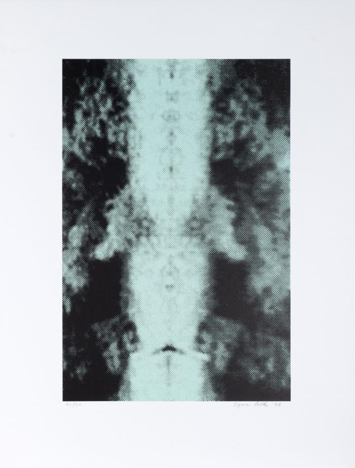 OHNE TITEL (SPIEGELUNG I)