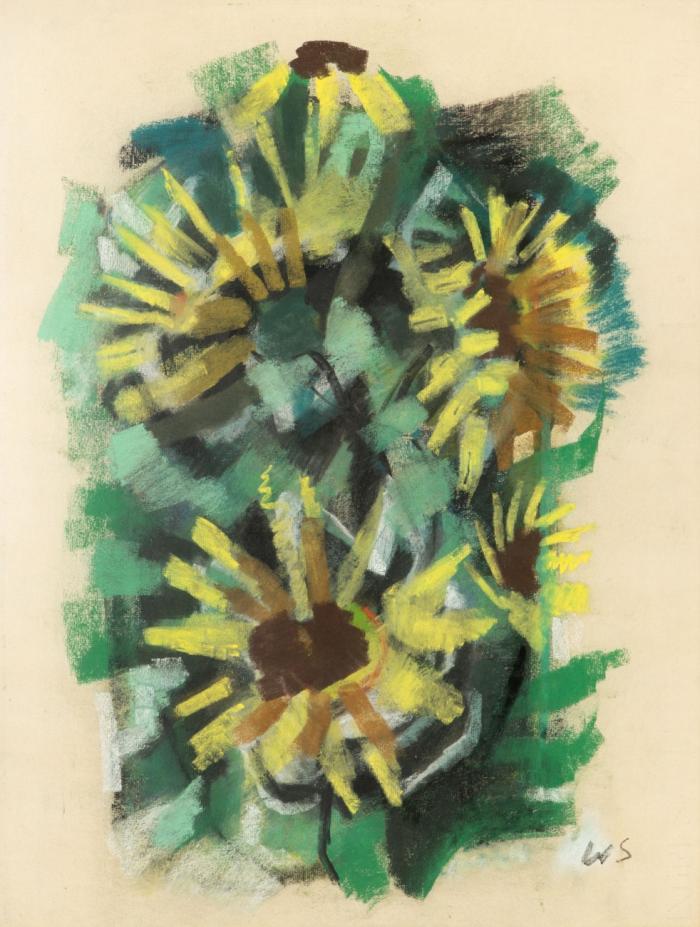 SONNENBLUMEN