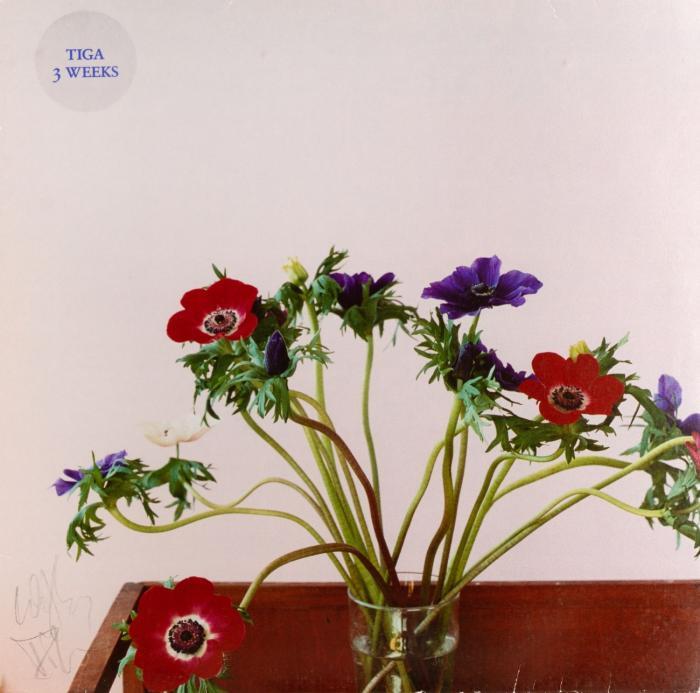 TIGA - 3 WEEKS