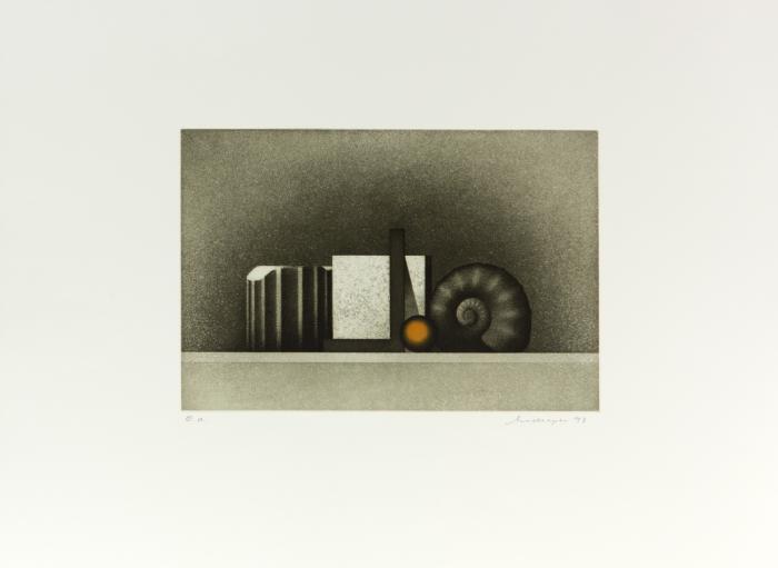 FRANKLIN'SCHE HÄUSER 1992 / STILLLEBEN 1993