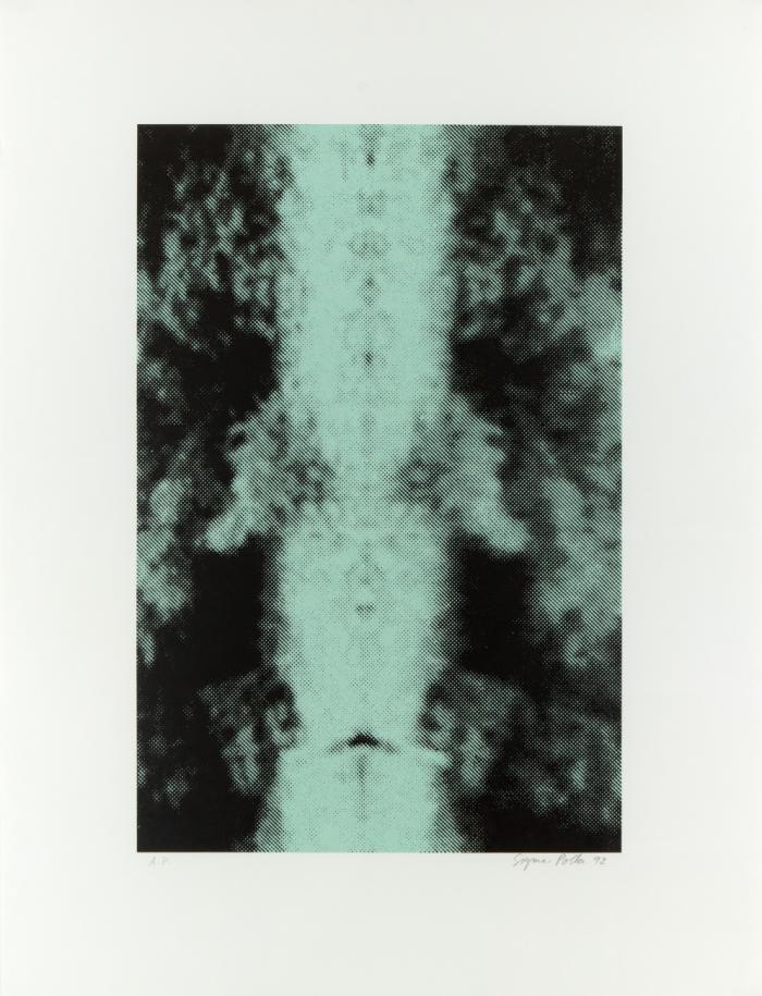 OHNE TITEL (SPIEGELUNG I)