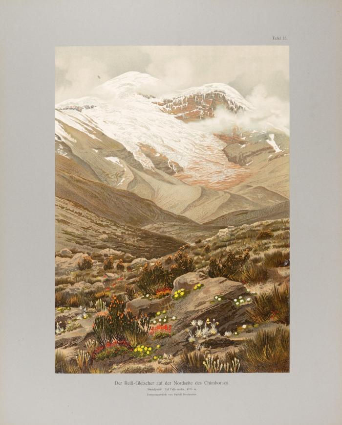 In den Hoch-Anden von Ecuador: Chimborazo, Cotopaxi etc. Bilderatlas und Textband. 2 Bde.