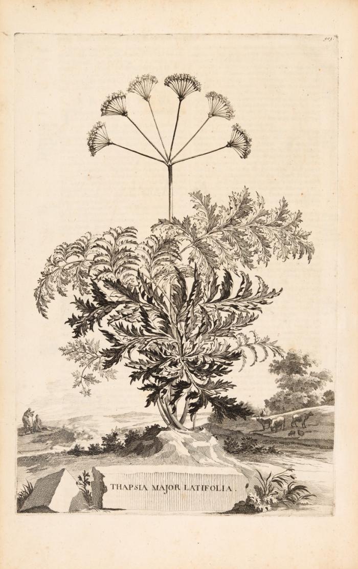 Naauwkeurige Beschryving der Aardgewassen, waar in de veelerley Aart en bijzondere Eigenschappen der Boomen, Heesters, Kruyden, Bloemen... beschreeven worden.