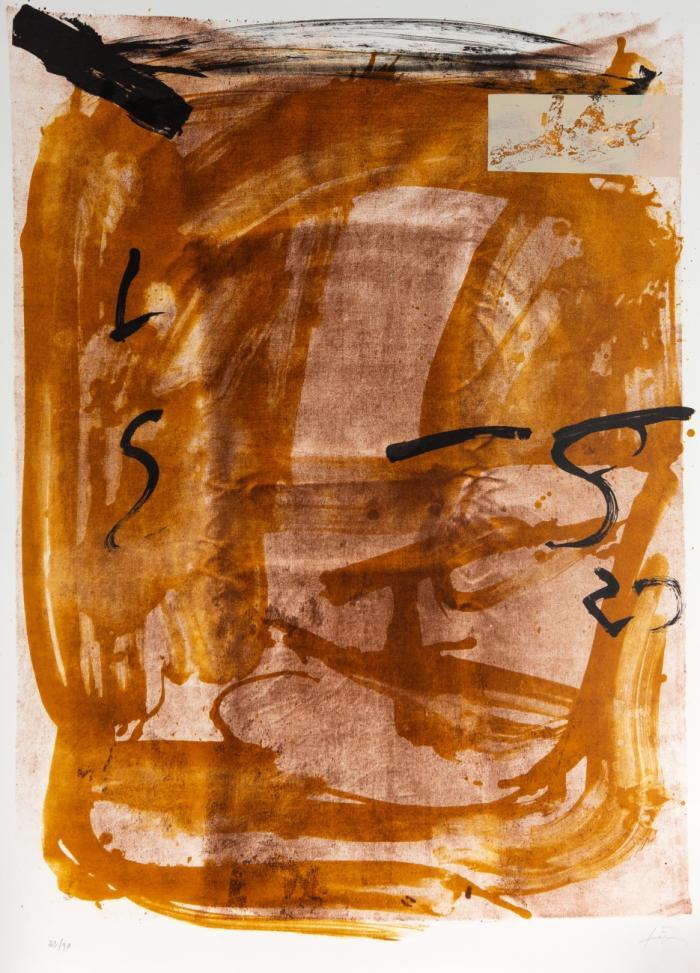 APPARITIONS (AUS VARIATIONS)