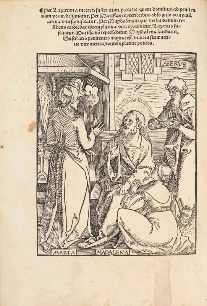 Das buch Granatapfel. im latin genant Malogranatus. Fragment.