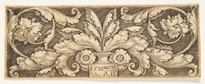 Ornament mit Blattwek, welches aus einer Vase wächst. 1529.