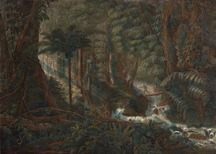Charles Comte de Clarac, Foret vierge du Bresil. 1820. Kupferstich