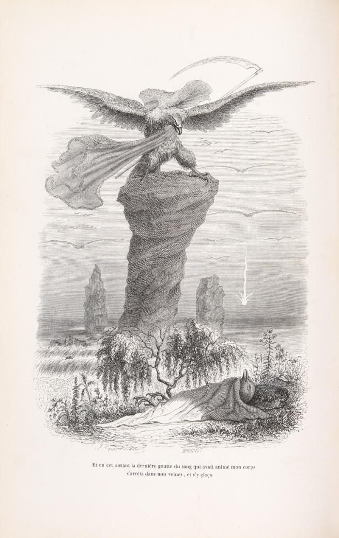 Scènes de la vie privée et publique des animaux. vignettes par Grandvilles. Études de mœurs contemporaines publiées sous la direction de M. P.-J. Stahl, avec la collaboration de messieurs de Balzac. ... - Charles Nodier. 2 Bde.