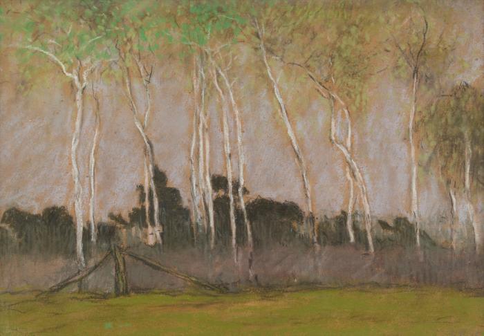 Julius Bretz. Landschafts- und Baumstudien. 11 Zeichnungen.