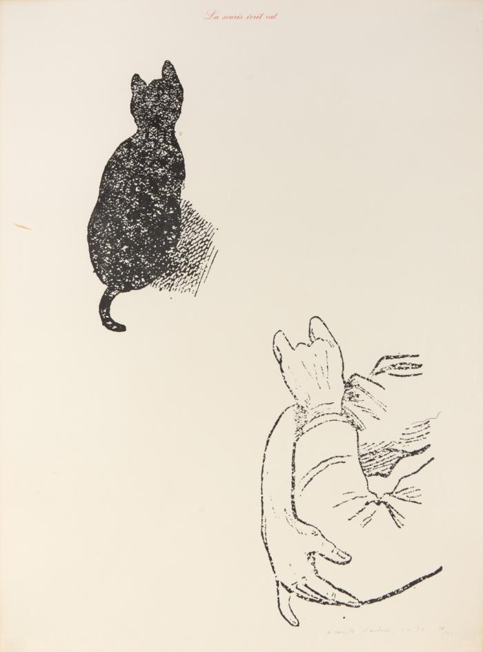 LA SOURIS ÉCRIT RAT