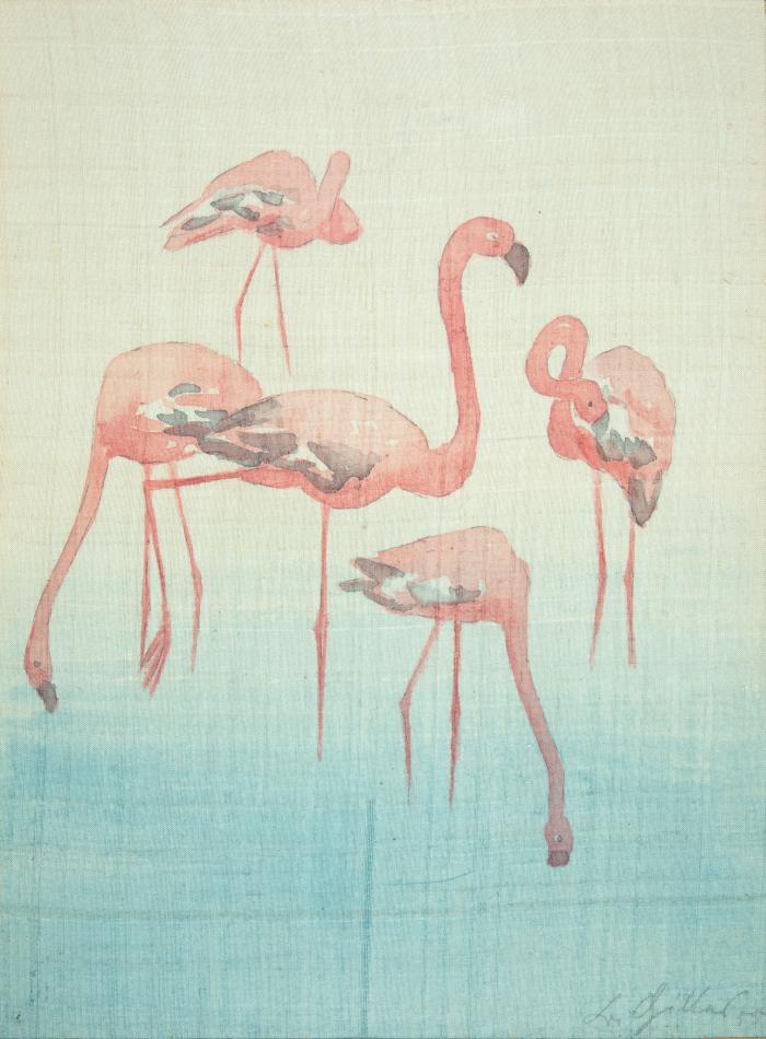 Tier-Studie, fünf Flamingos