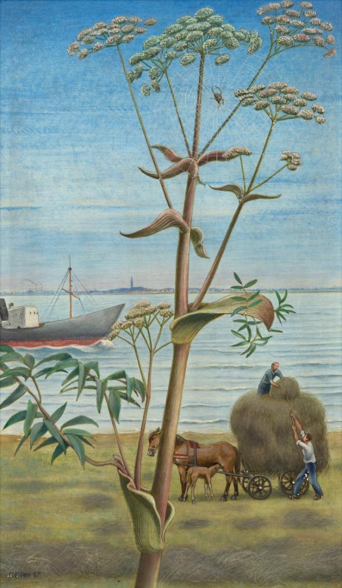 HEUERNTE AN DER UNTERWESER MIT SCHAFGARBE