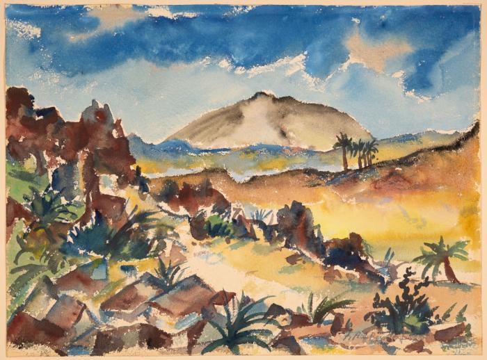 LANDSCHAFT AUF TENERIFFA