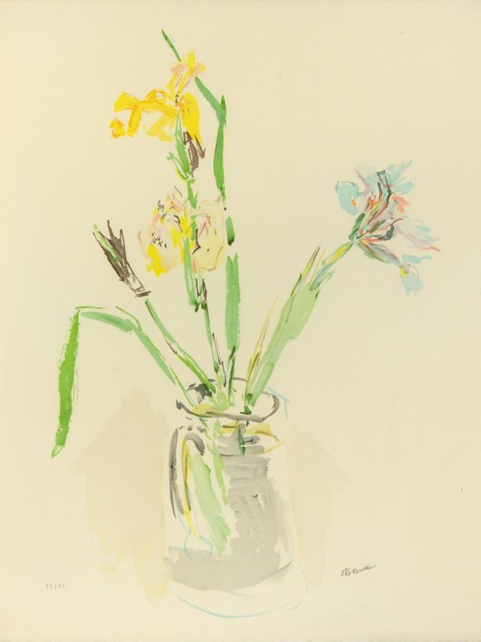 GELBE UND VIOLETTE IRIS