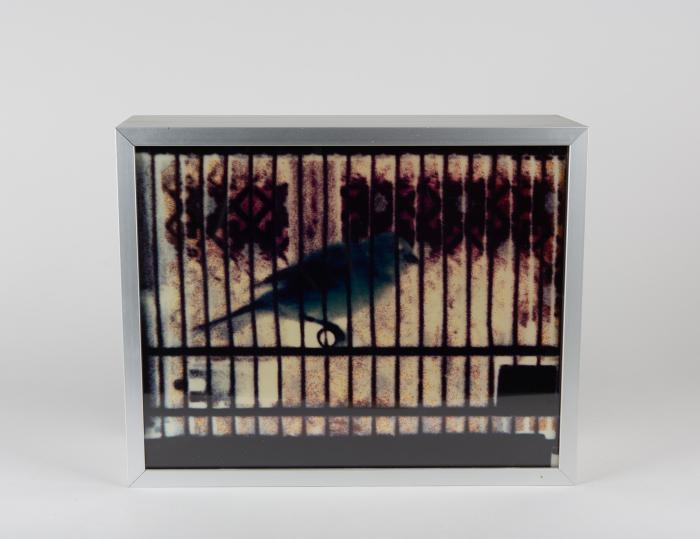 Ohne Titel (Vogelkäfig)
