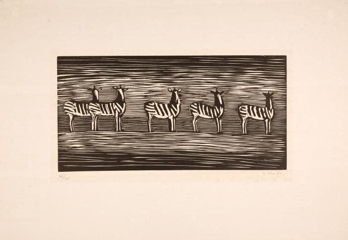 Zebras