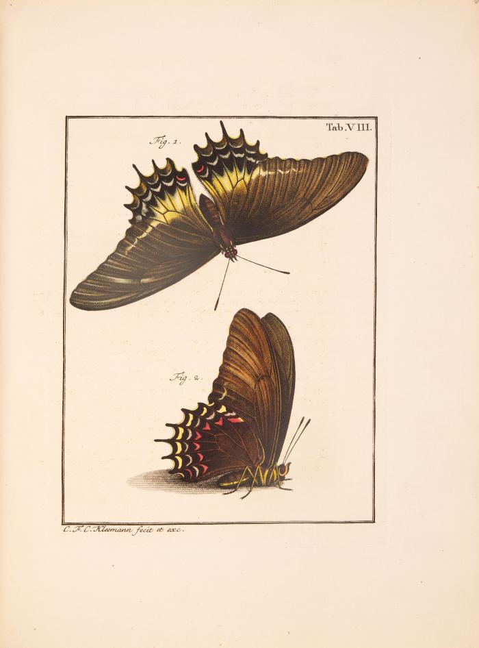A. J. Rösel v. Rosenhof, De natuurlyke historie der Insecten. 9 Bde. Haarlem & Amsterdam 1764-82/88.