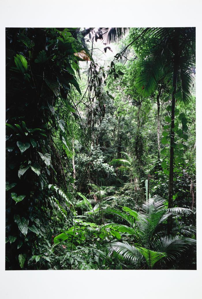 Paradies
