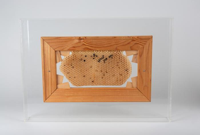 Bienenwaben-Wachscollage (