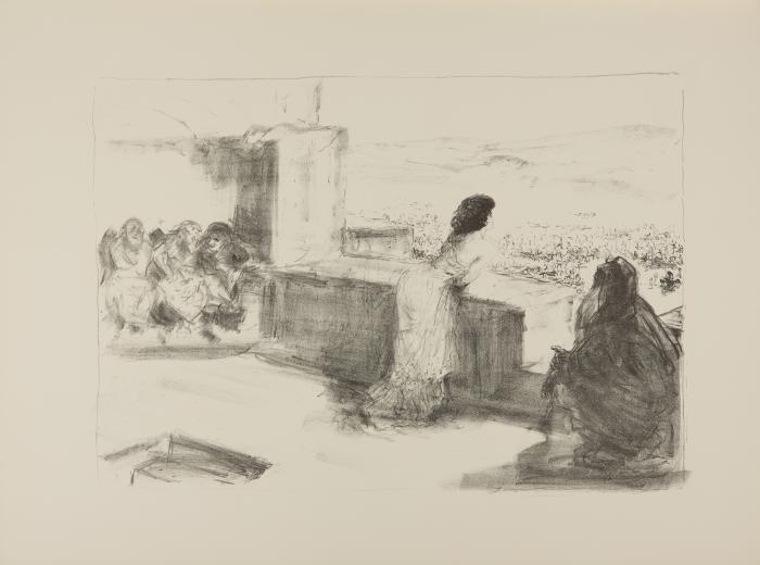 MAX SLEVOGT
Achill. 15 Lithographien zur Ilias.