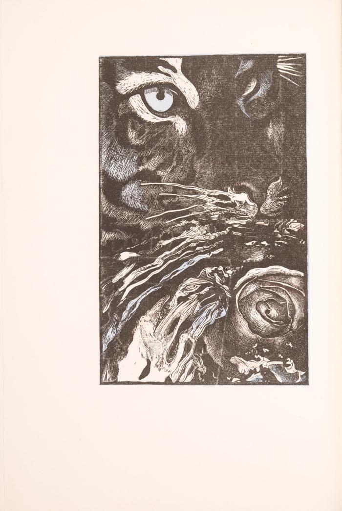 JÜRGEN WÖLBING
JORGE LUIS BORGES: Rose & Blau.