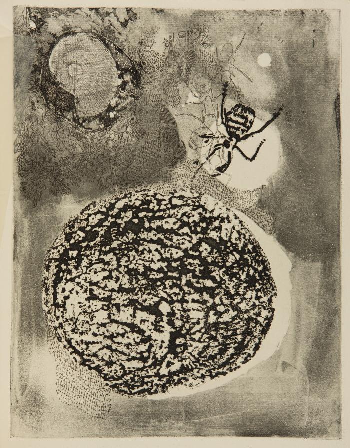GERMAINE RICHIER
RENÉ DE SOLIER: Contre Terre.