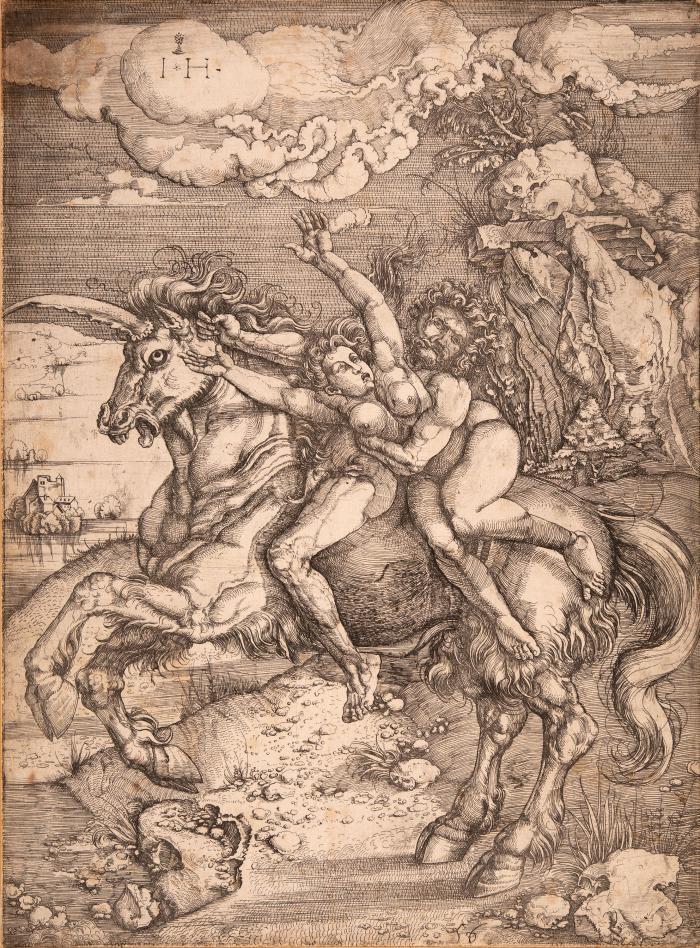 Die Entführung auf dem Einhorn