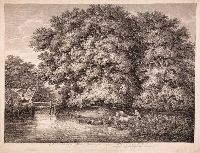 Die Mühle bei den großen Eichen