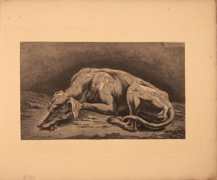 XXII. Thierstudien von C. Reinhart in Rom gezeichnet und radirt.