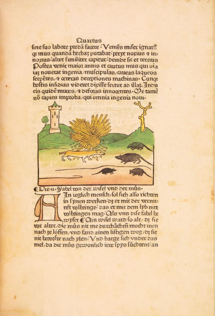 Aesop: Vita et fabulae. Faksimile der Ausgabe Ulm 1476/77 nach dem Exemplar der Bibliothek Otto Schäfer. Faksimile und Kommentar. 2 Bde.
