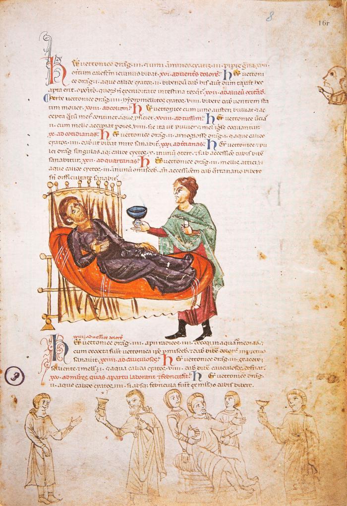 Medicina antiqua. Codex Vindobonensis 93 der Österreichischen Nationalbibliothek. Faksimile u. Kommentar. 2 Bde.