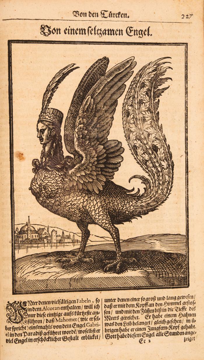 Thesaurus exoticorum. Oder eine mit Außländischen Raritäten und Geschichten Wohlversehene Schatz-Kammer Fürstellend Die Asiatische, Africanische und Americanische Nationes Der Perser/ Indianer/ Sinesen ... 5 Tle. in 1 Bd.