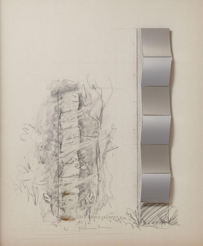 Waldspiegelungen