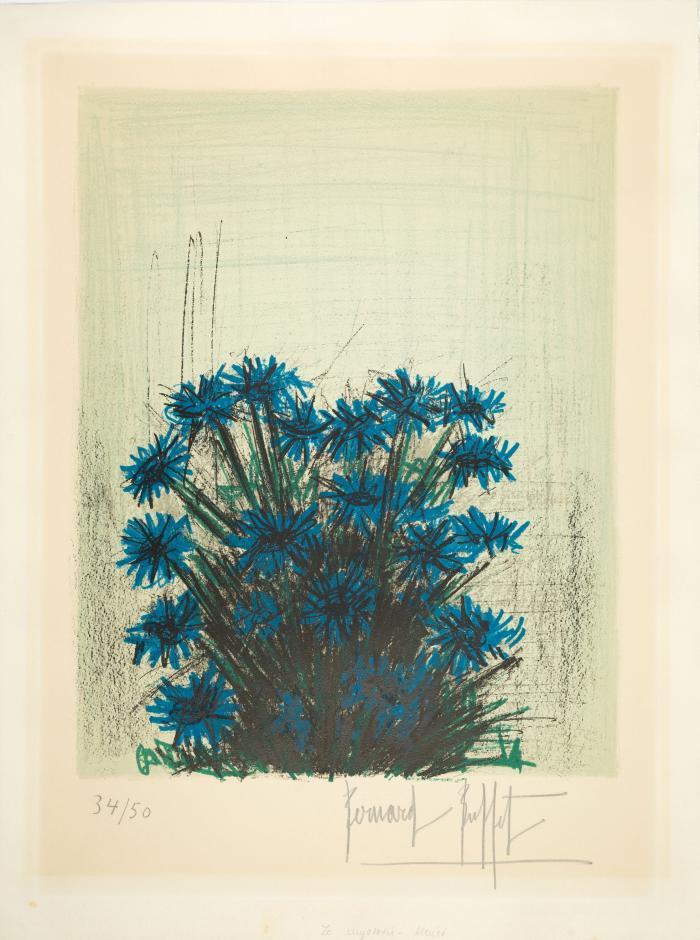 Le Myosotis bleuet (aus: Herbier)