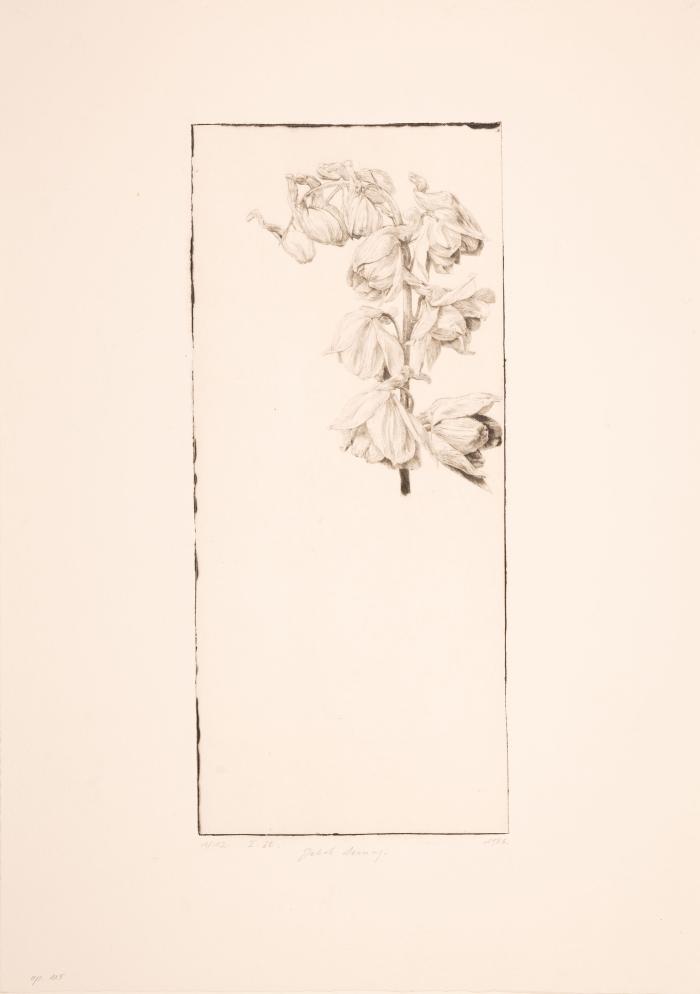 Bäume / Rittersporn / Tulpen