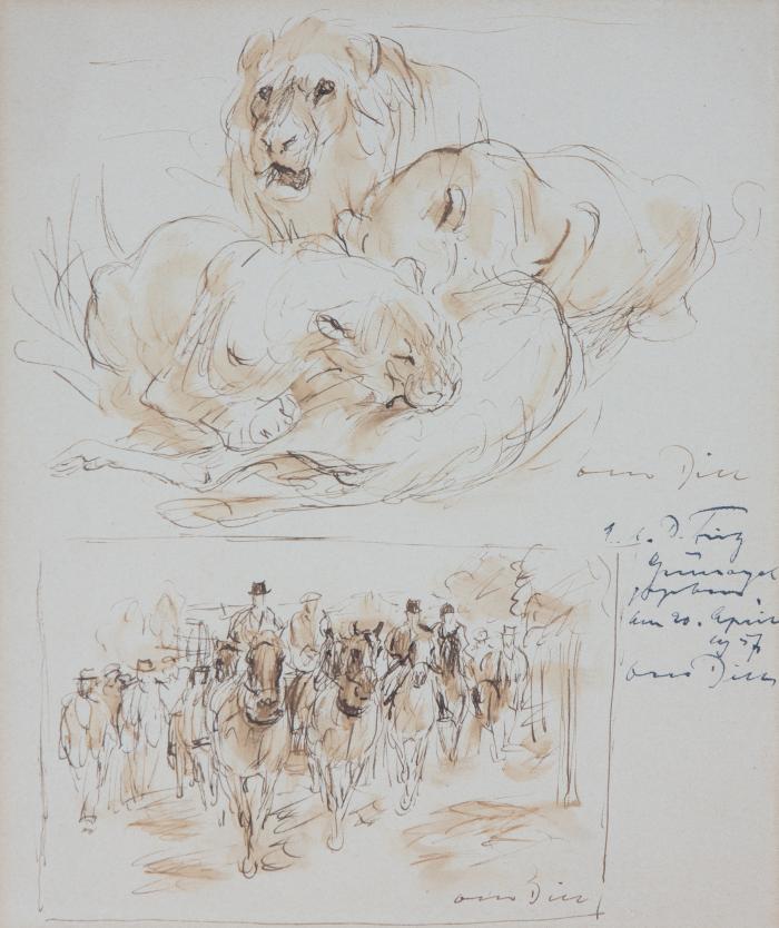 Löwenstudie - Reiterszene 1957
