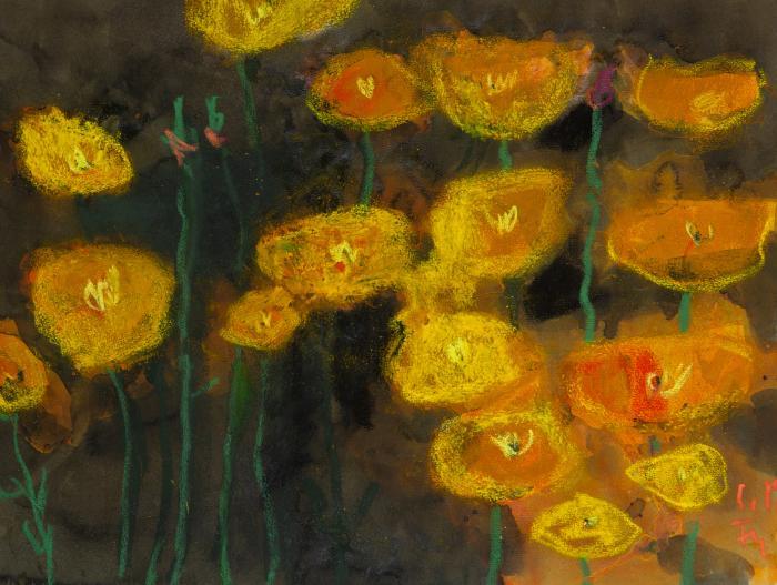 California Mohn