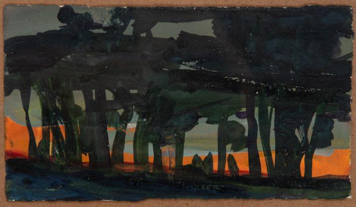 Ohne Titel (Busch von Queensland, Australien)