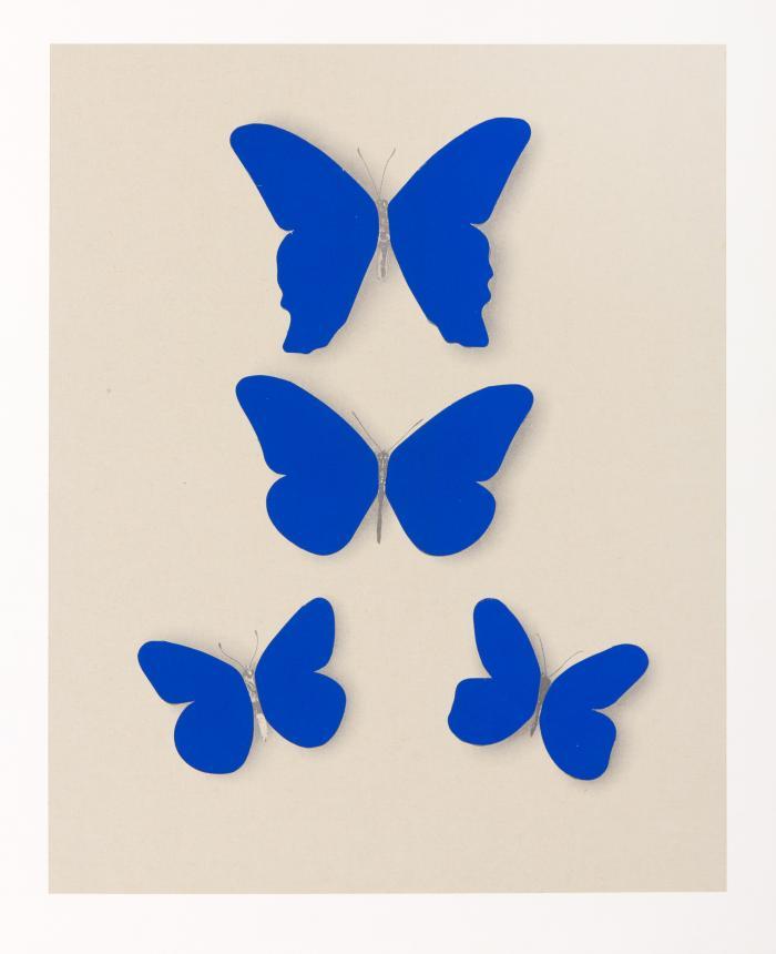 Schmetterlinge / Blaue Schmetterlinge 1969