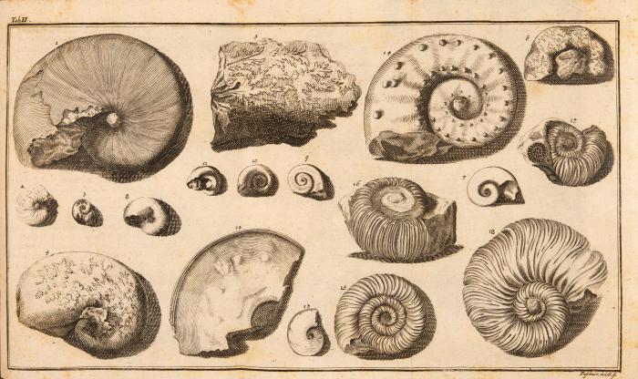 J. J. Baier, Oryktographia Norica, 2 Tle. in 1 Bd. Nürnberg 1708. + 1 Werk angebunden. Nürnberg 1730.