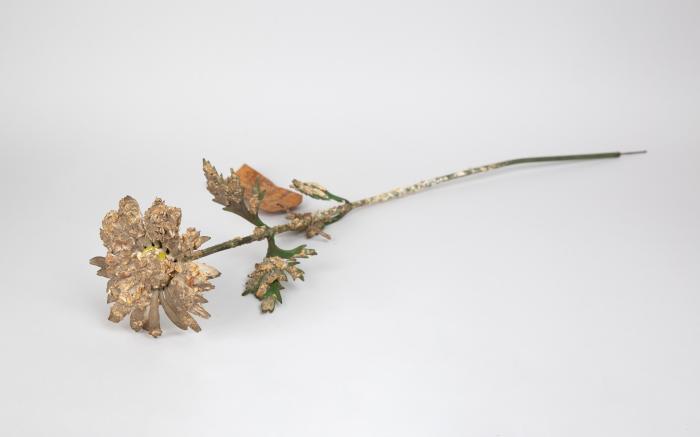 Hafer - Blume